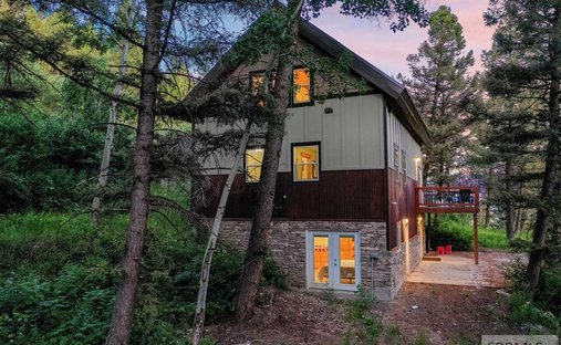 House in Island Park, Idaho, United States 1