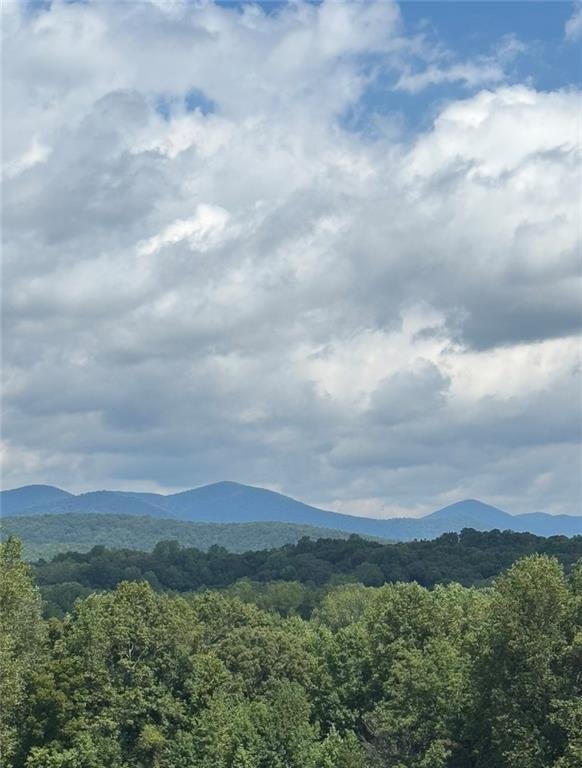 House in Canton, Georgia, United States 5 - 18066647