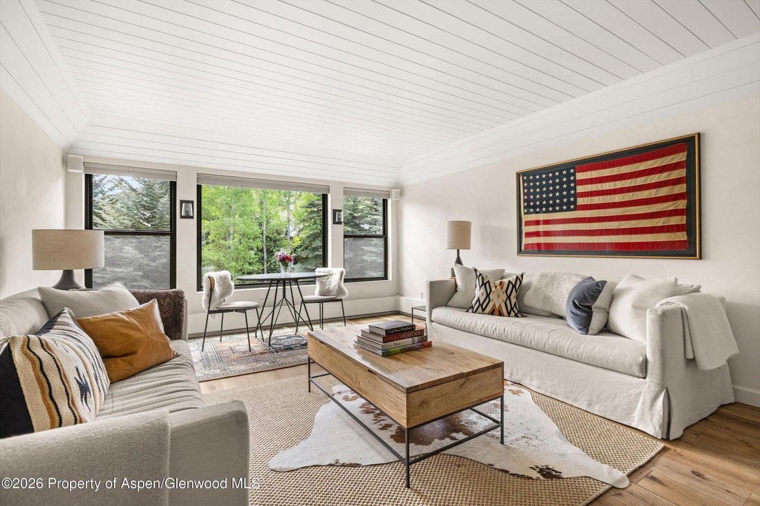 Condo in Aspen, Colorado, United States 1 - 18065798
