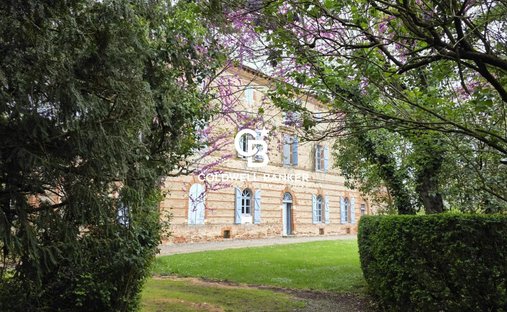Castle in Capitole, Toulouse, France 1
