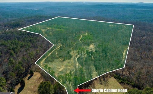 Land in Ball Ground, Georgia, United States 1