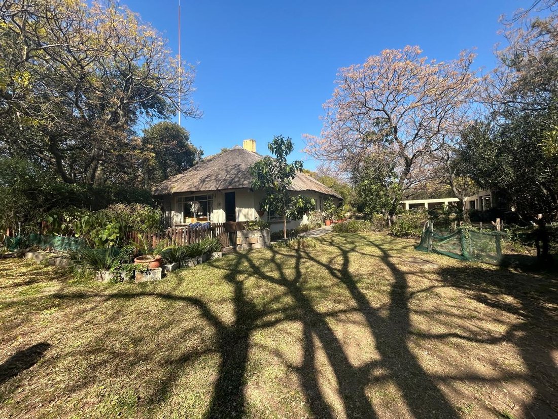 Farm Ranch in Midrand, Gauteng, South Africa 4 - 18067655