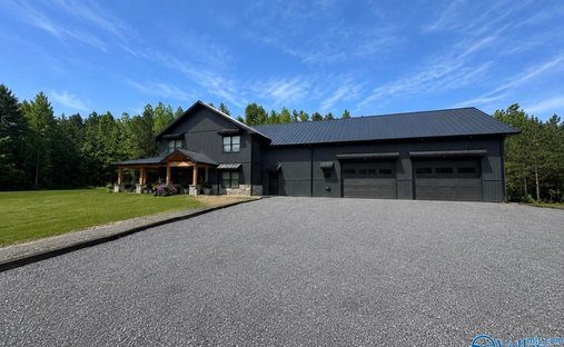 House in Albertville, Alabama, United States 1