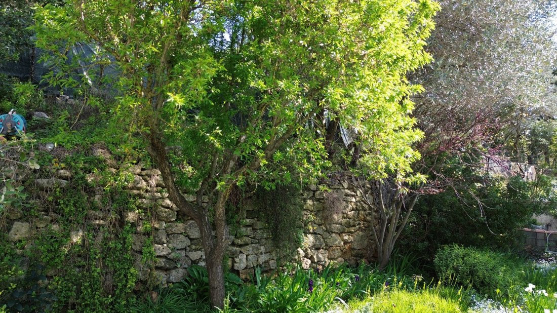 House in Balaruc-le-Vieux, Occitania, France 5 - 18066681