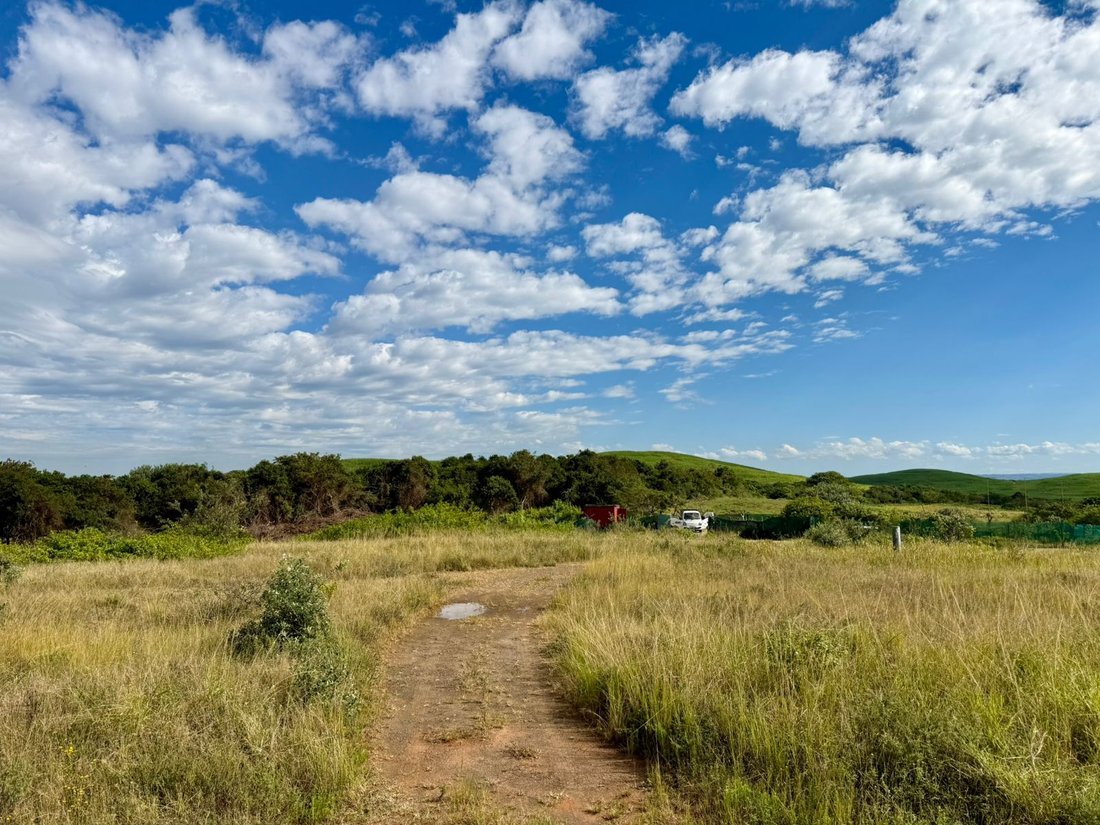 Land in Kareeberg Local Municipality, Northern Cape, South Africa 5 - 18069003