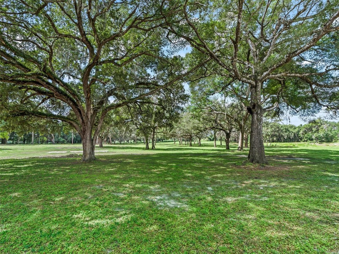 House in Floral City, Florida, United States 5 - 18066359