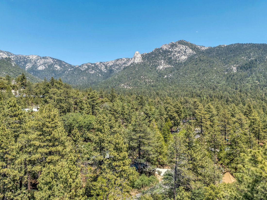 House in Idyllwild-Pine Cove, California, United States 5 - 18065692