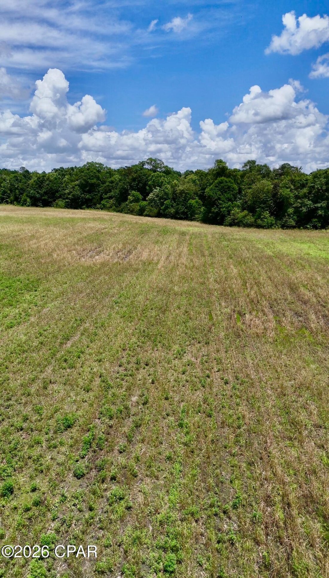 Land in Bonifay, Florida, United States 5 - 18066597