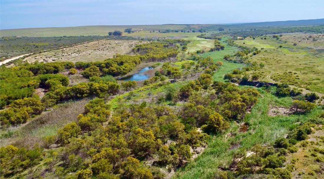 Land in Yzerfontein, Western Cape, South Africa 2 - 18068728
