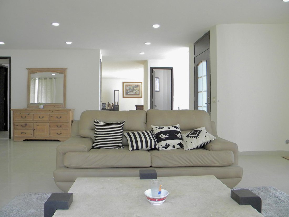 Condo in San Cristóbal Texcalucan, State of Mexico, Mexico 4 - 18067380