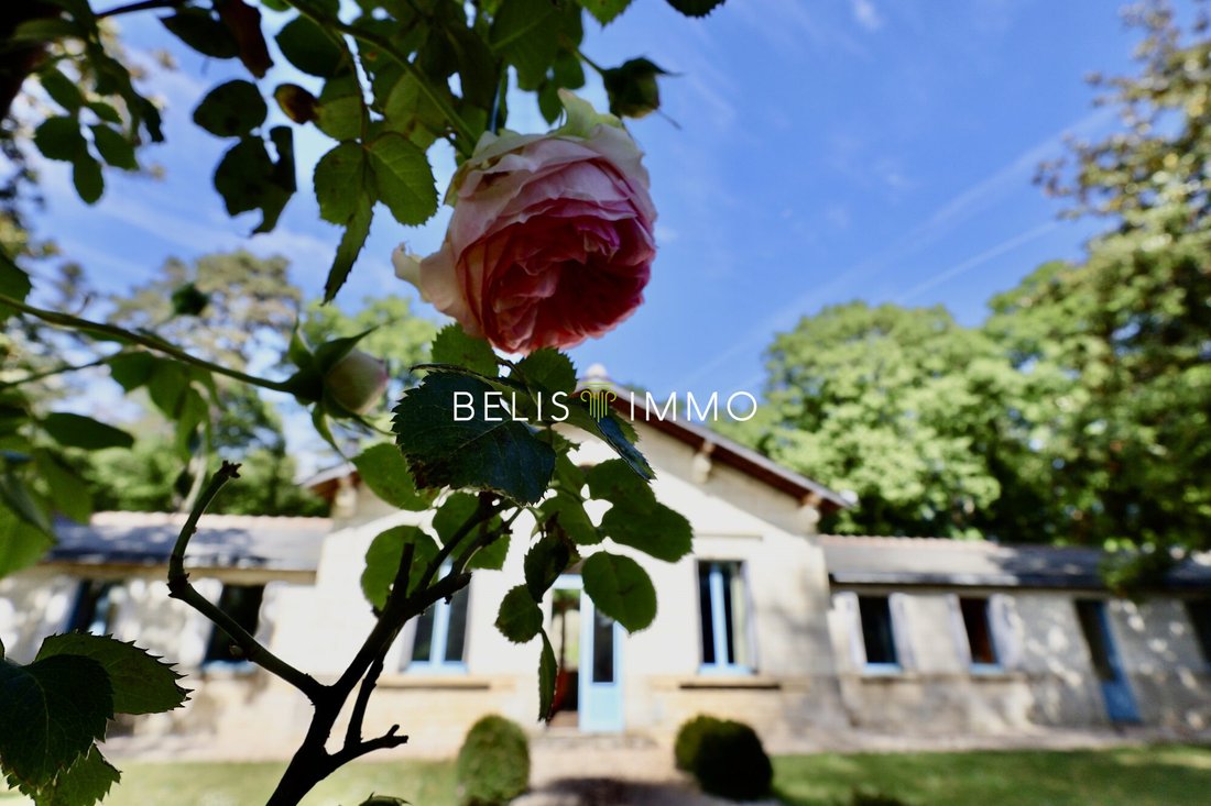House in Saint-Epain, Centre-Val de Loire, France 4 - 18068844