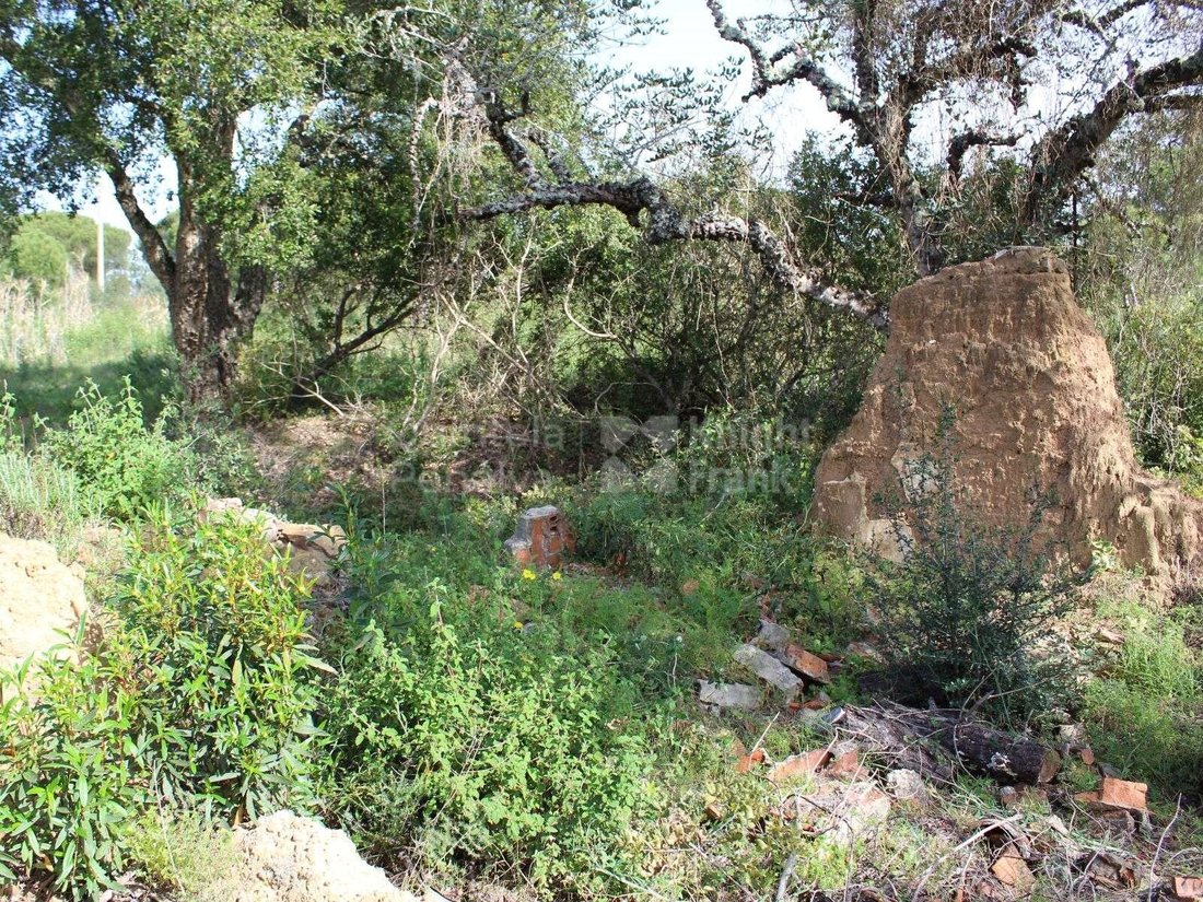 Land in Melides, Setubal, Portugal 4 - 18067801