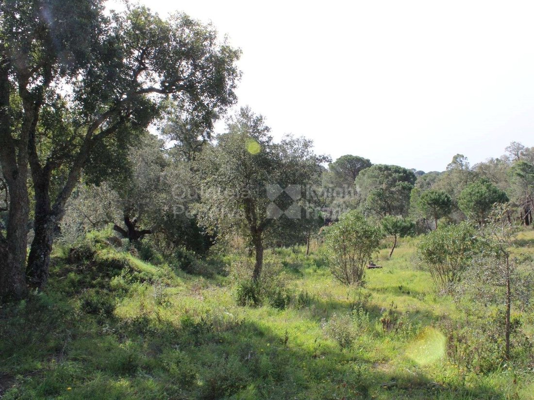 Land in Melides, Setubal, Portugal 5 - 18067801