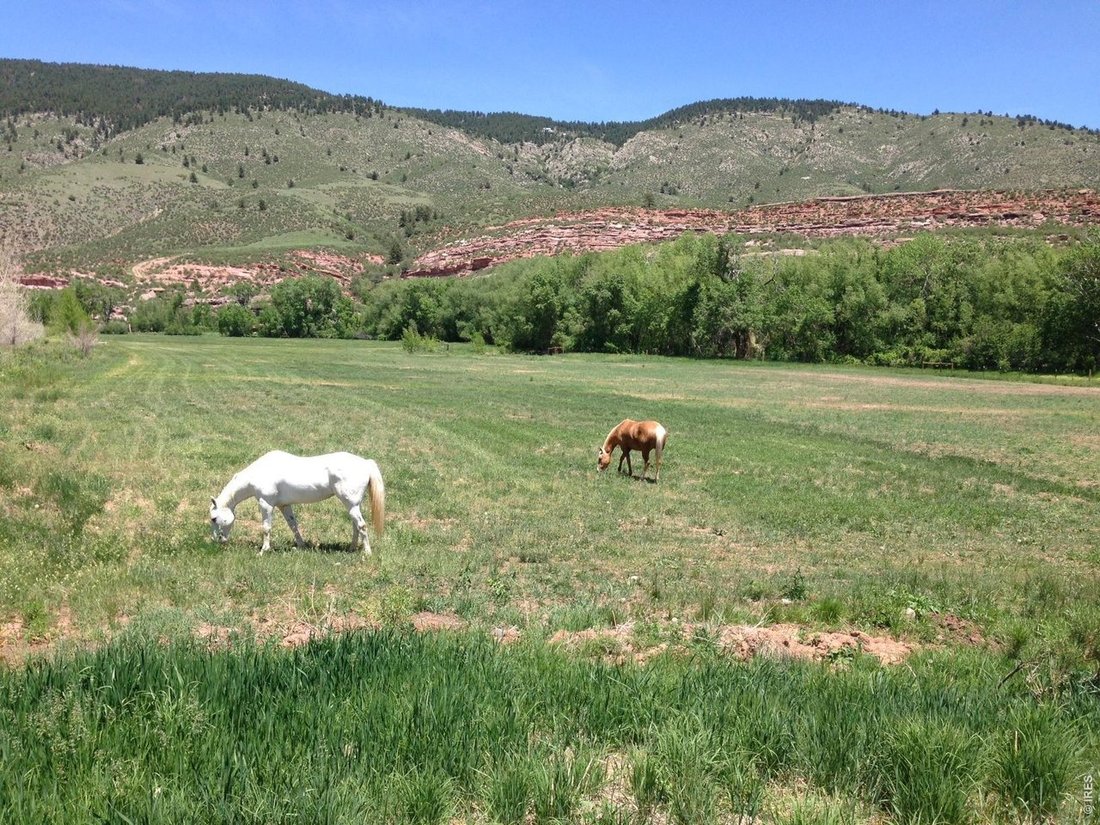 Farm Ranch in Loveland, Colorado, United States 3 - 18068541