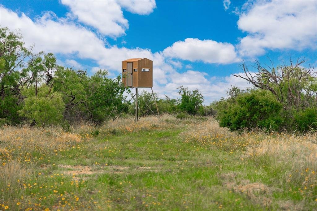 Farm Ranch in Gouldbusk, Texas, United States 4 - 17952772