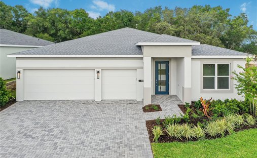 House in The Villages, Florida, United States 1