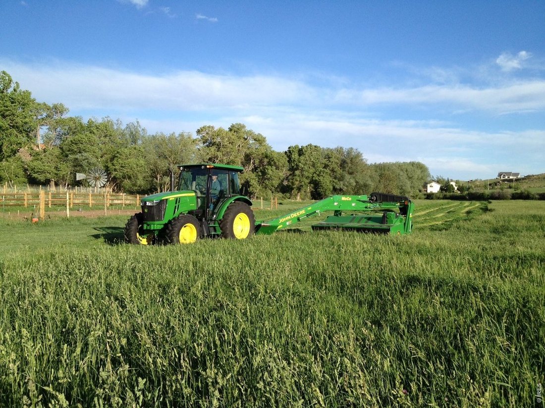Farm Ranch in Loveland, Colorado, United States 4 - 18068541