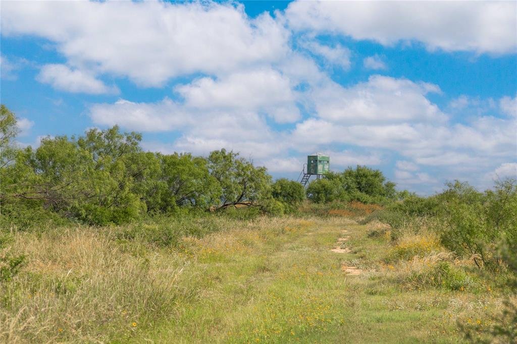 Farm Ranch in Gouldbusk, Texas, United States 5 - 17952772