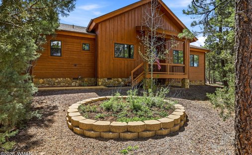 House in Show Low, Arizona, United States 1