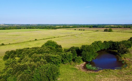 Azienda agricola a Dublin, Texas, Stati Uniti 1