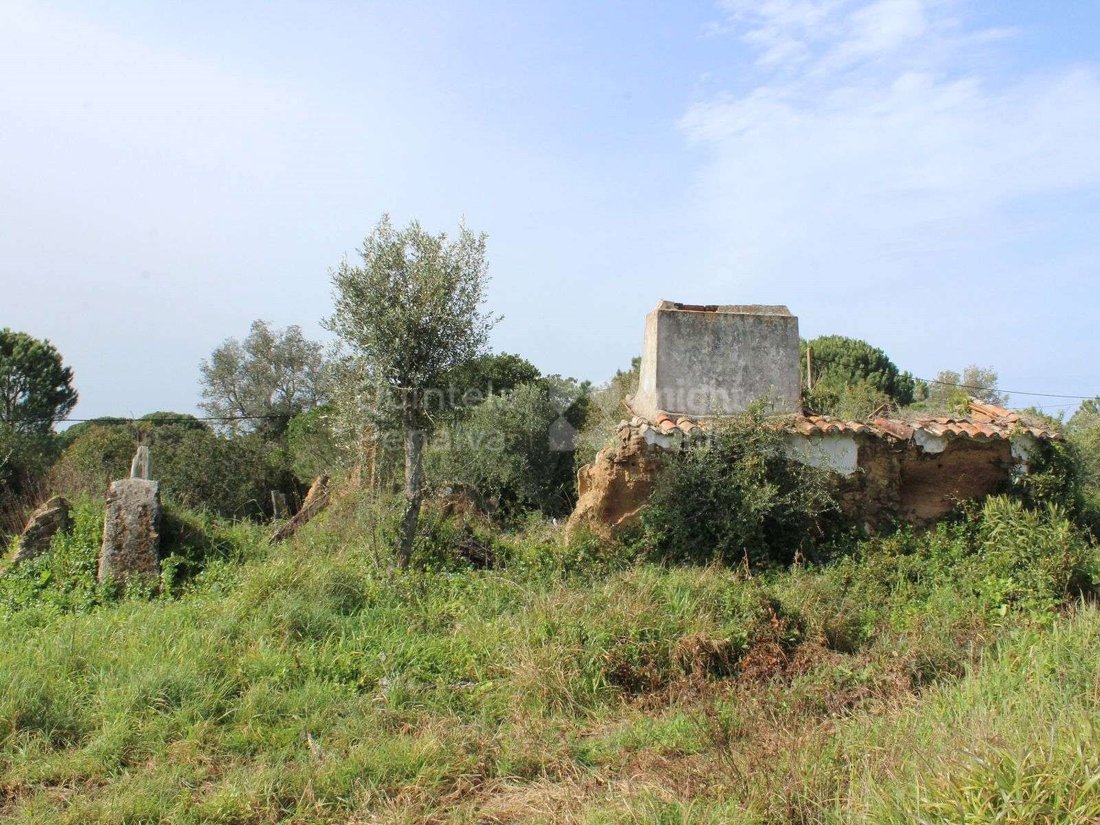 Land in Melides, Setubal, Portugal 3 - 18067801