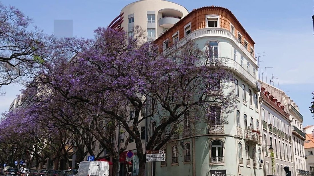 Apartment in Misericordia, Lisbon, Portugal 1 - 18069555