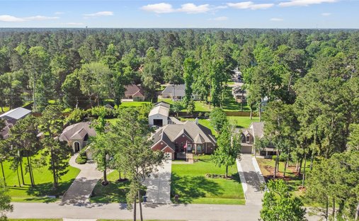 House in Magnolia, Texas, United States 1
