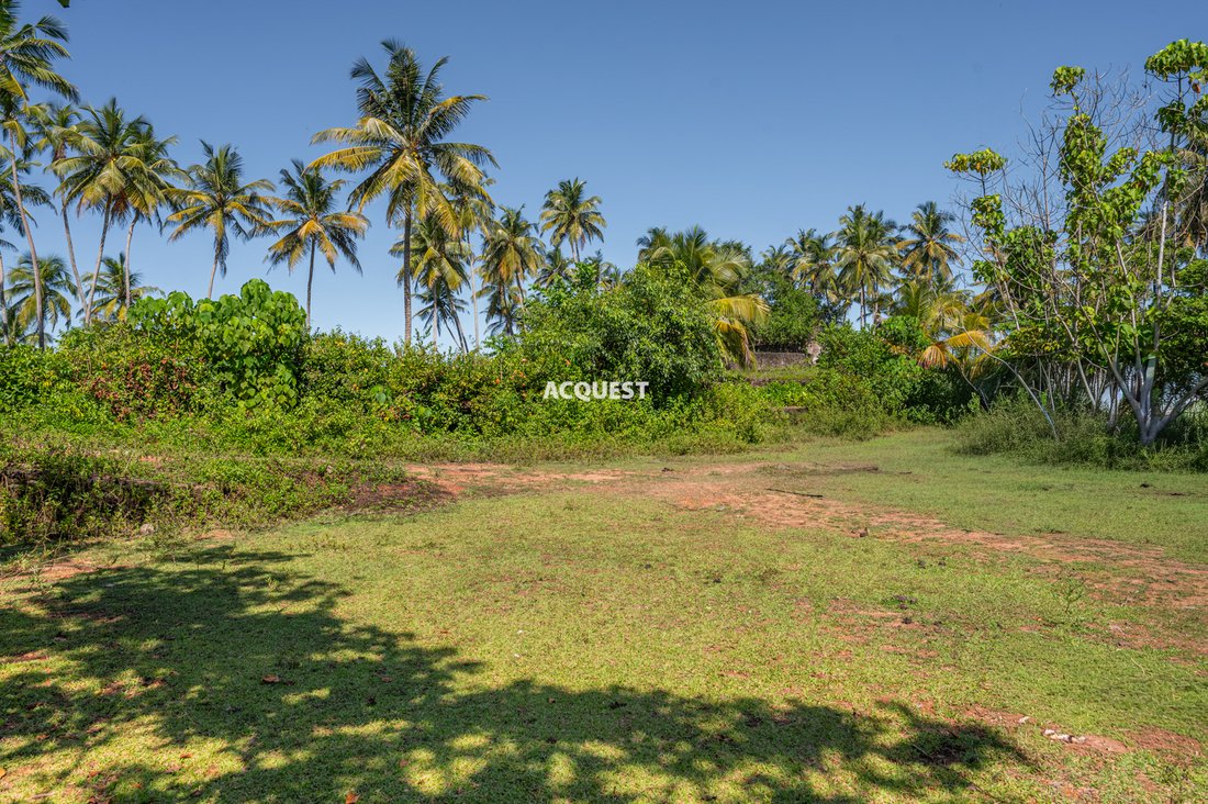Land in Kosgoda, Southern Province, Sri Lanka 5 - 18070023