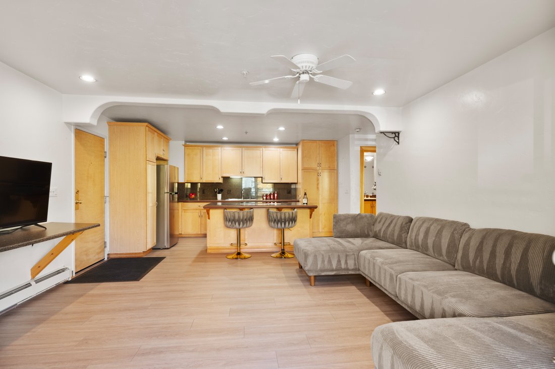 Condo in Aspen, Colorado, United States 5 - 18069865