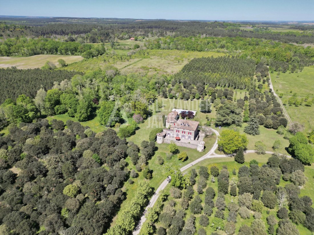 Château à Casteljaloux, Nouvelle-Aquitaine, France 2 - 18069265
