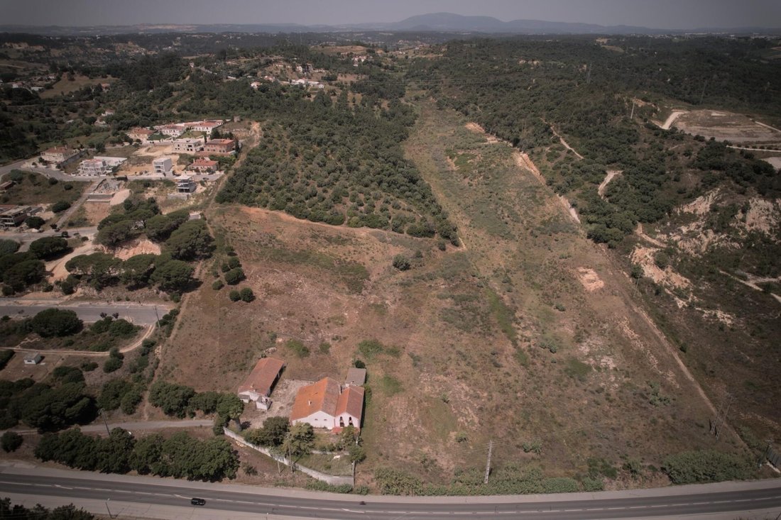 Land in Azambuja, Lisbon, Portugal 1 - 18034148