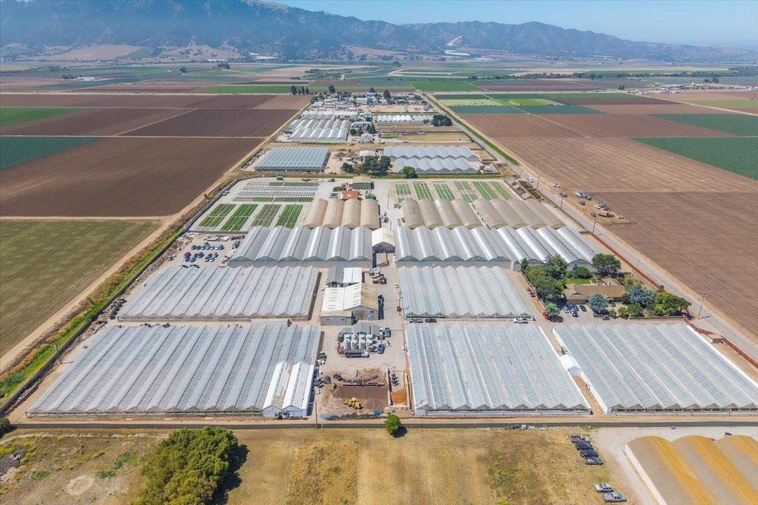 Farm Ranch in Salinas, California, United States 1 - 18069535