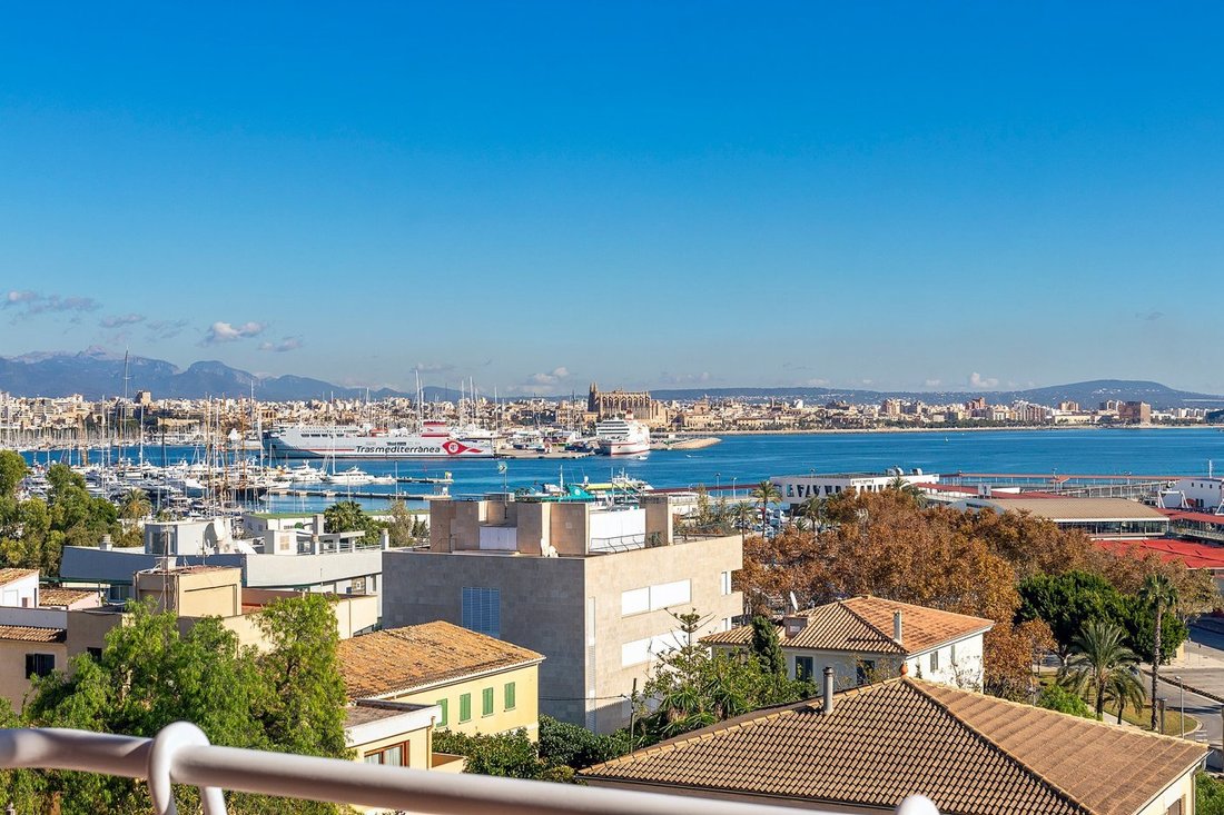 Apartment in Palma, Balearic Islands, Spain 4 - 18070104
