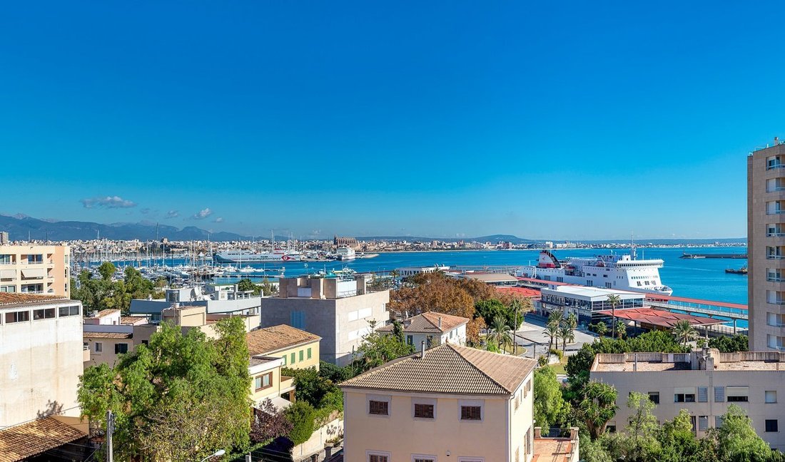 Apartment in Palma, Balearic Islands, Spain 1 - 18070104