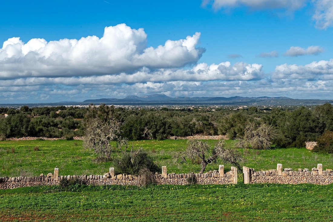 Country House in Campos, Balearic Islands, Spain 4 - 18070038