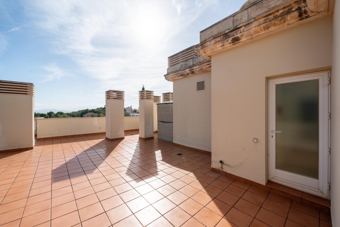 Apartment in Genoa, Palma, Balearic Islands 5 - 18069969