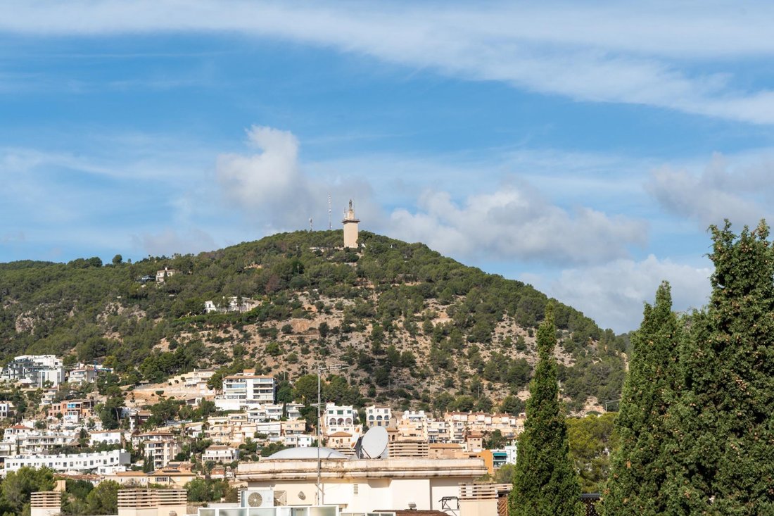 Apartment in Genoa, Palma, Balearic Islands 4 - 18069969