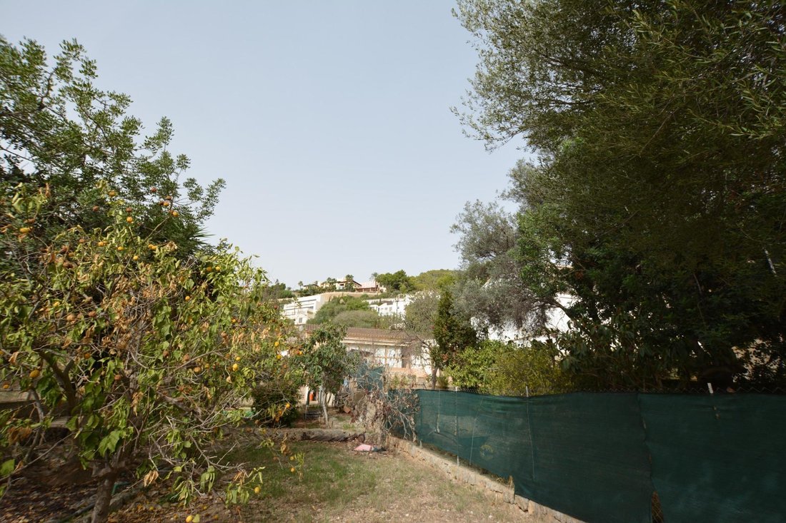 Country House in Genoa, Palma, Balearic Islands 3 - 18069644