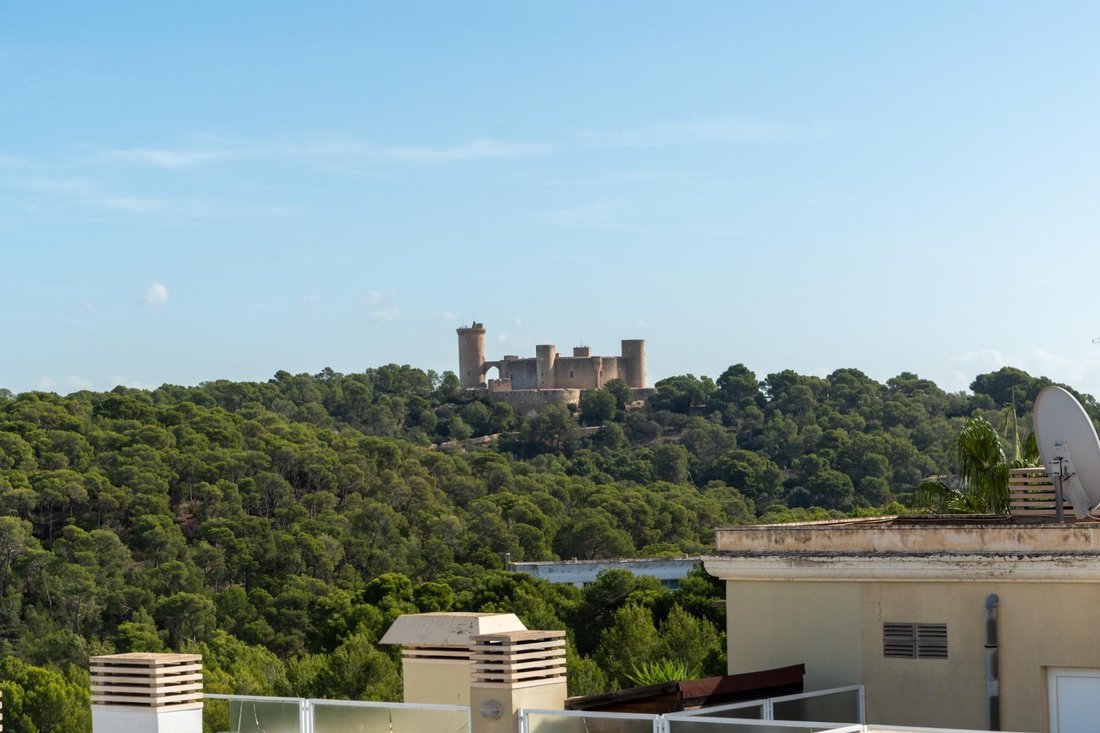 Apartment in Genoa, Palma, Balearic Islands 3 - 18069969