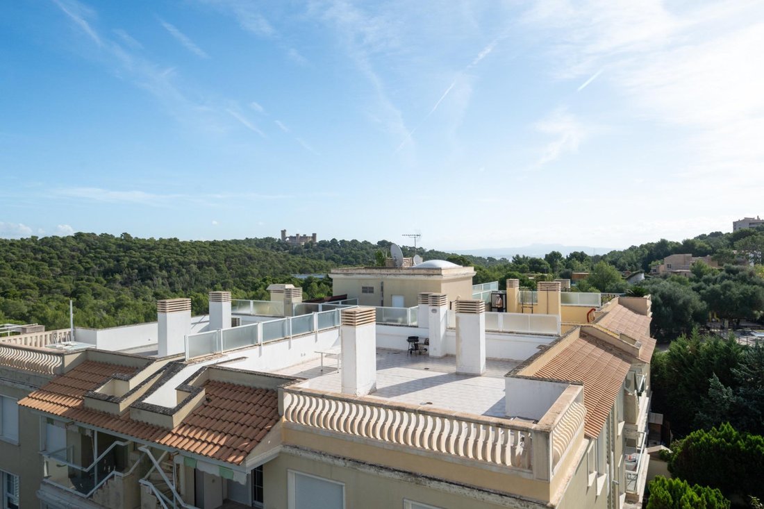 Apartment in Genoa, Palma, Balearic Islands 1 - 18069969