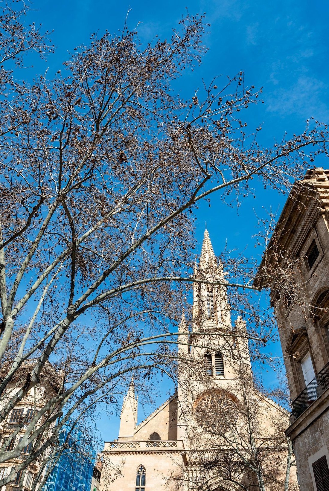 Palma, Balearic Islands, Spain 5 - 18070077