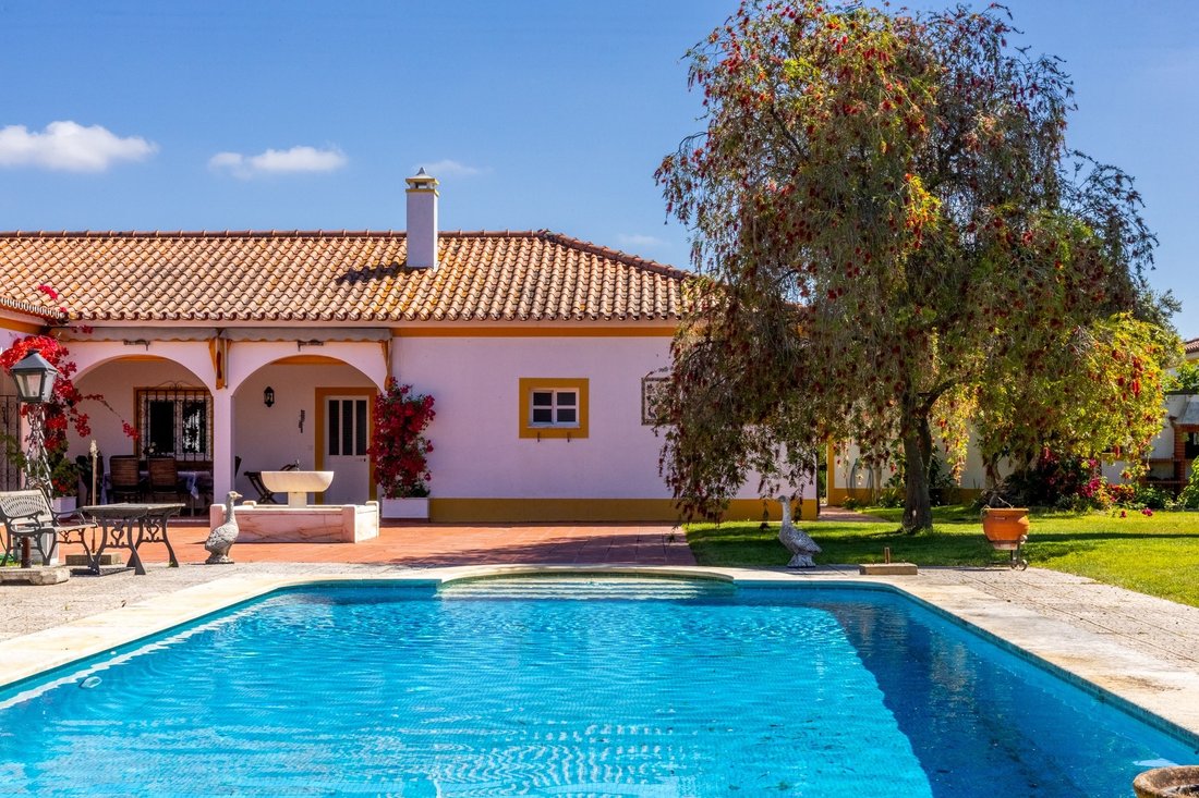 Farm Ranch in Evora (Sao Mamede, Se, Sao Pedro e Santo Antao), Évora District, Portugal 4 - 18070239