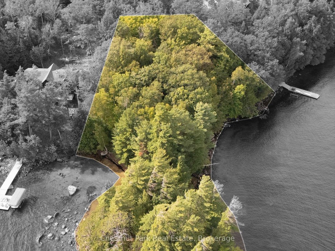 Land in Lake Of Bays, Ontario, Canada 3 - 17491526