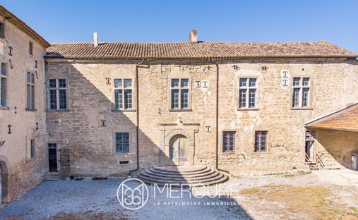 Castle in Lasbordes, Occitania, France 1