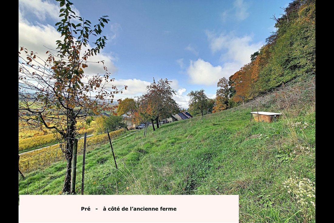 Haus in Luins, Waadt, Schweiz 5 - 18070230