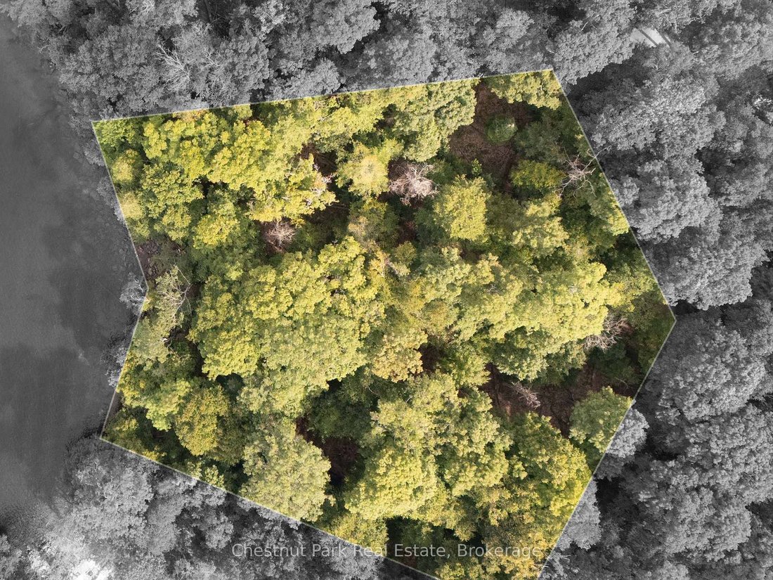 Land in Lake Of Bays, Ontario, Canada 2 - 17538000