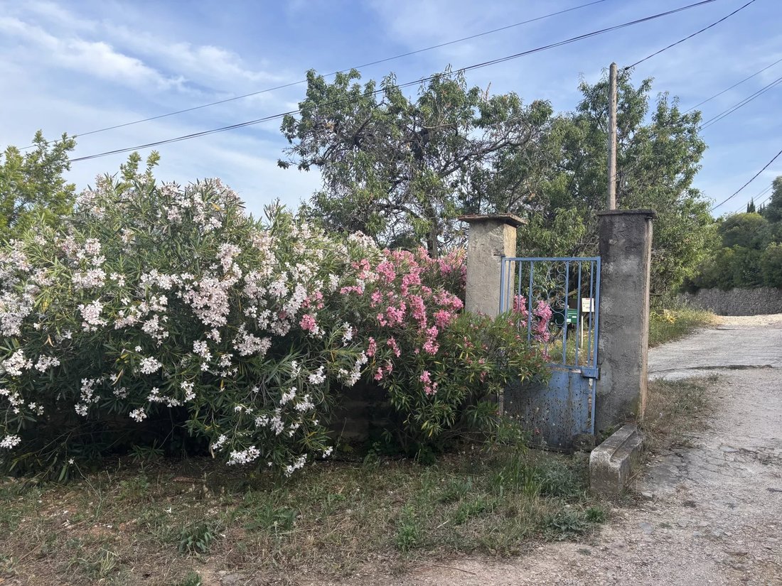 House in Ouest, Ollioules, France 1 - 18070244