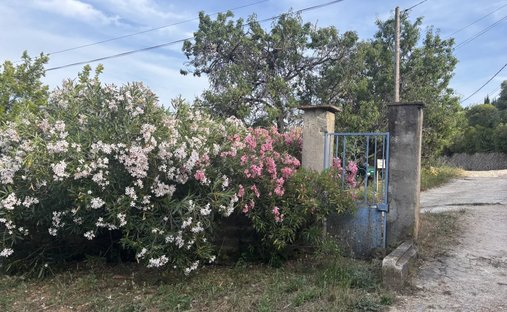 House in Ouest, Ollioules, France 1