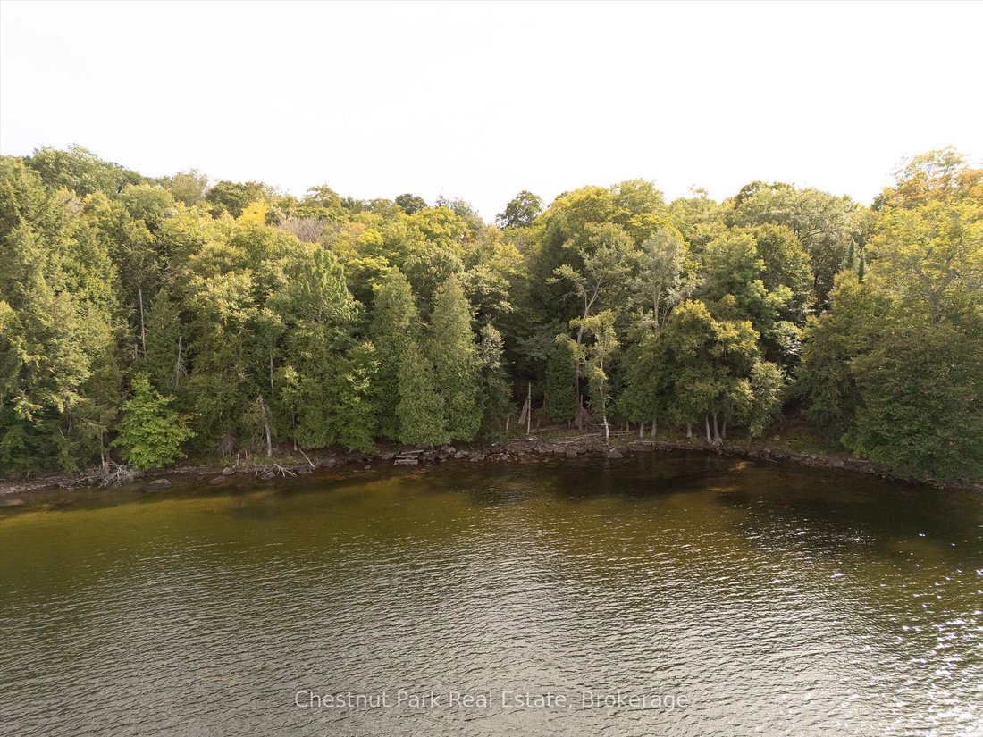 Land in Lake Of Bays, Ontario, Canada 5 - 17538000