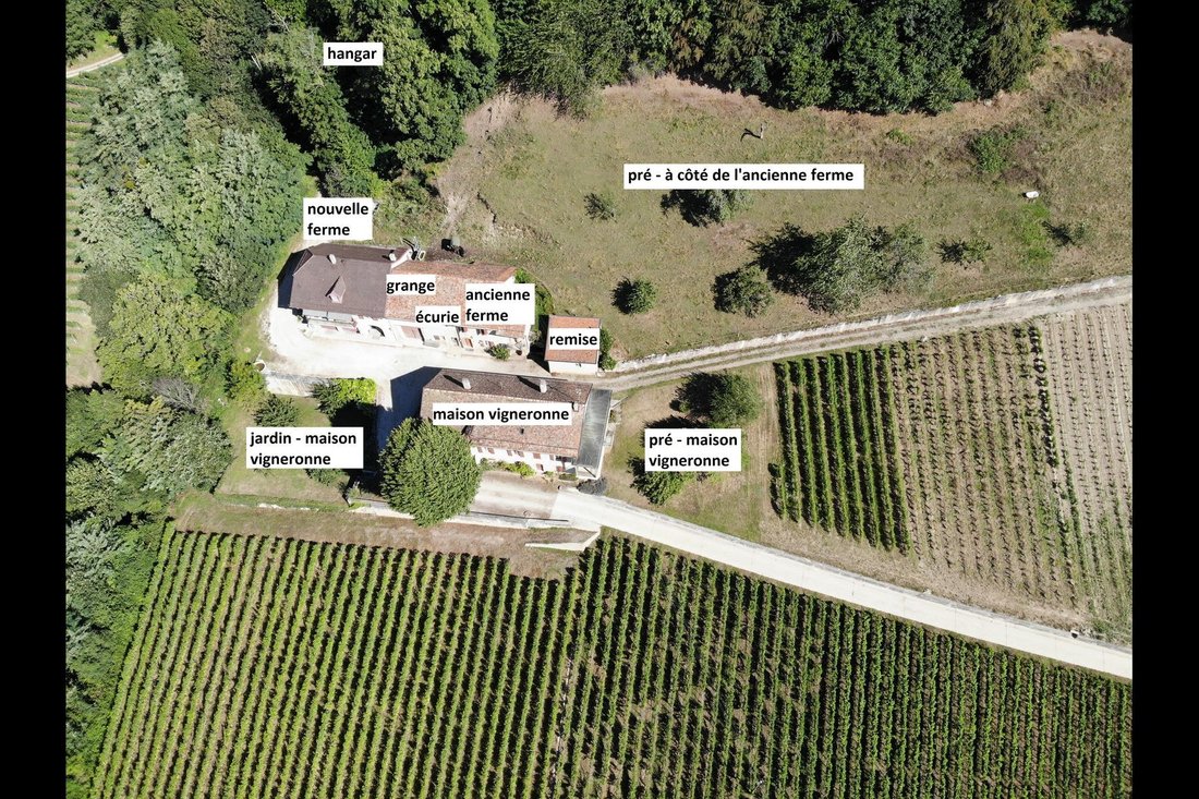 Haus in Luins, Waadt, Schweiz 4 - 18070230
